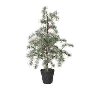 Cedertræ m/potte H80cm