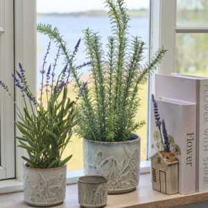 Potte D8x7cm keramik - Speedtsberg