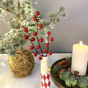 Gren med store røde bær