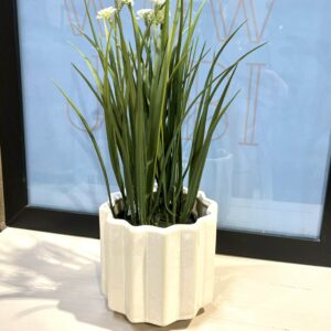 Skøn Stjerneformet Urtepotte Creme