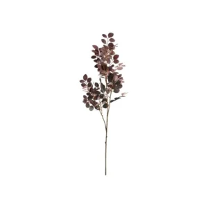 Eucalyptus Gren 71 cm Rødlige farver - Speedtsberg